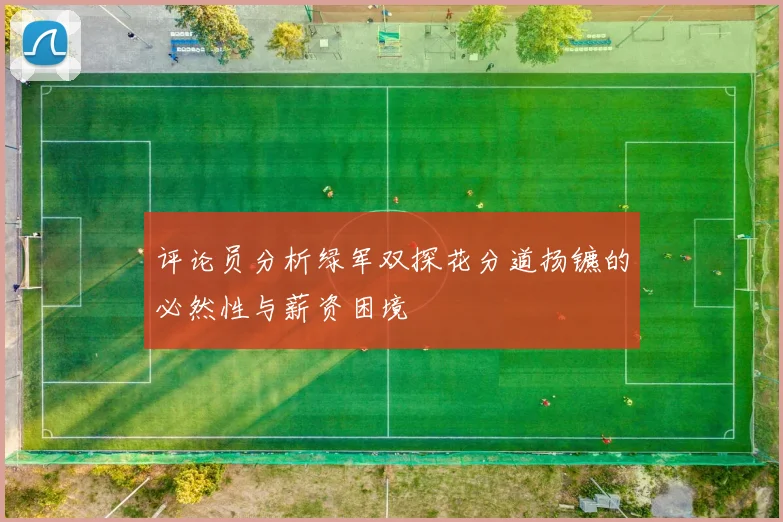 评论员分析绿军双探花分道扬镳的必然性与薪资困境